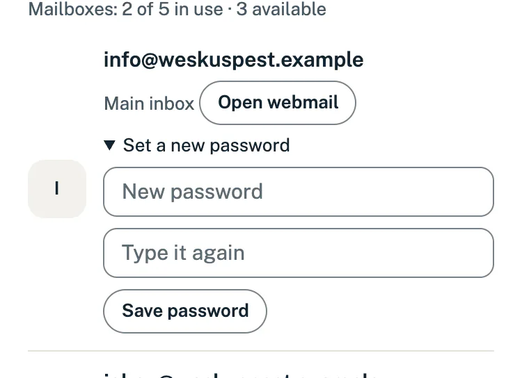 The Set a new password form under a mailbox