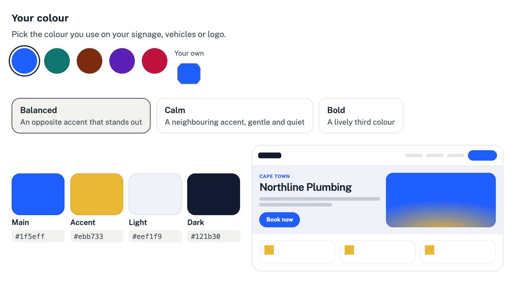 The colour choices, the four palette colours and a small preview of the website